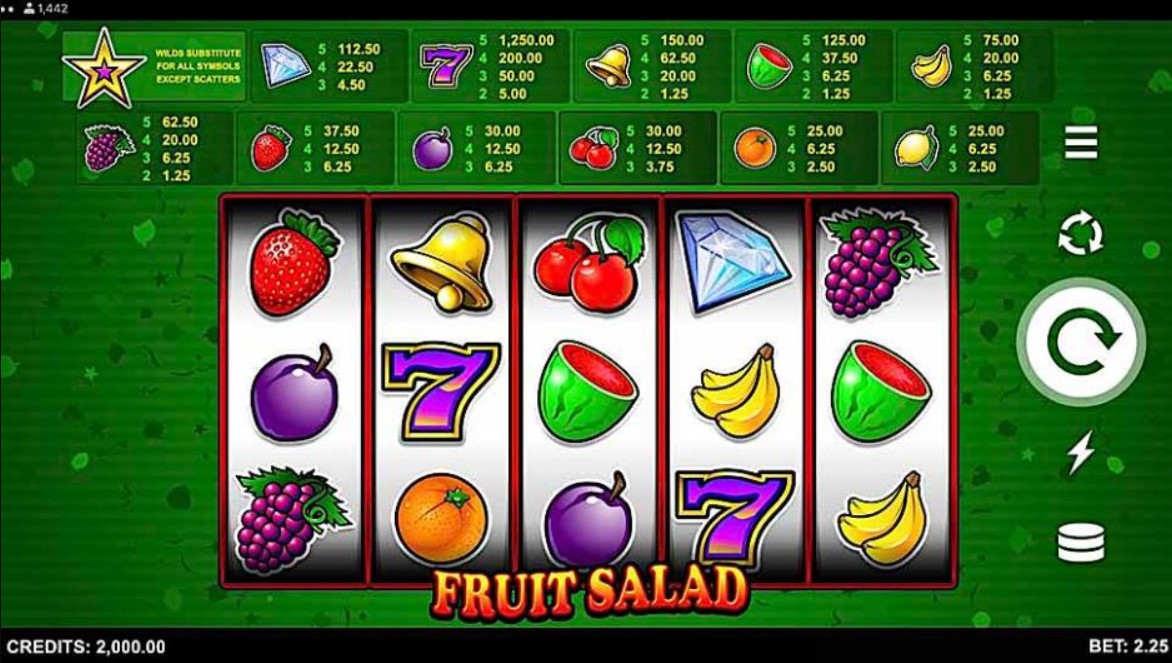 Fruit Salad Online Casino Slot Game