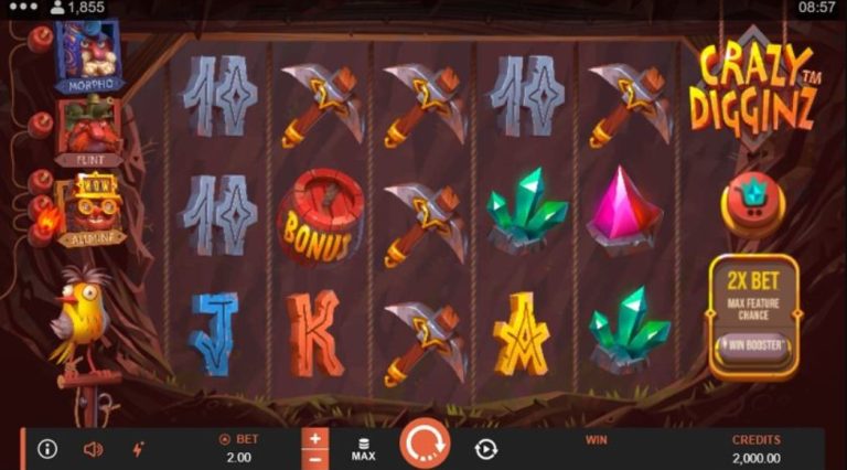 A Guide to Crazy Digginz Online Casino Slot Game